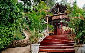 Malkia Trees Lodge